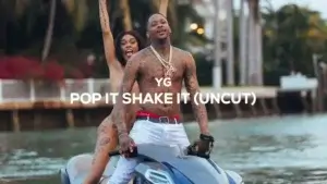 YG-Pop It Shake It